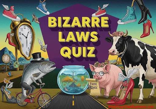 he Bizarre Laws Quiz: Can You Spot the Fake Law?