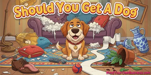 An image for a quiz asking should you get a dog?